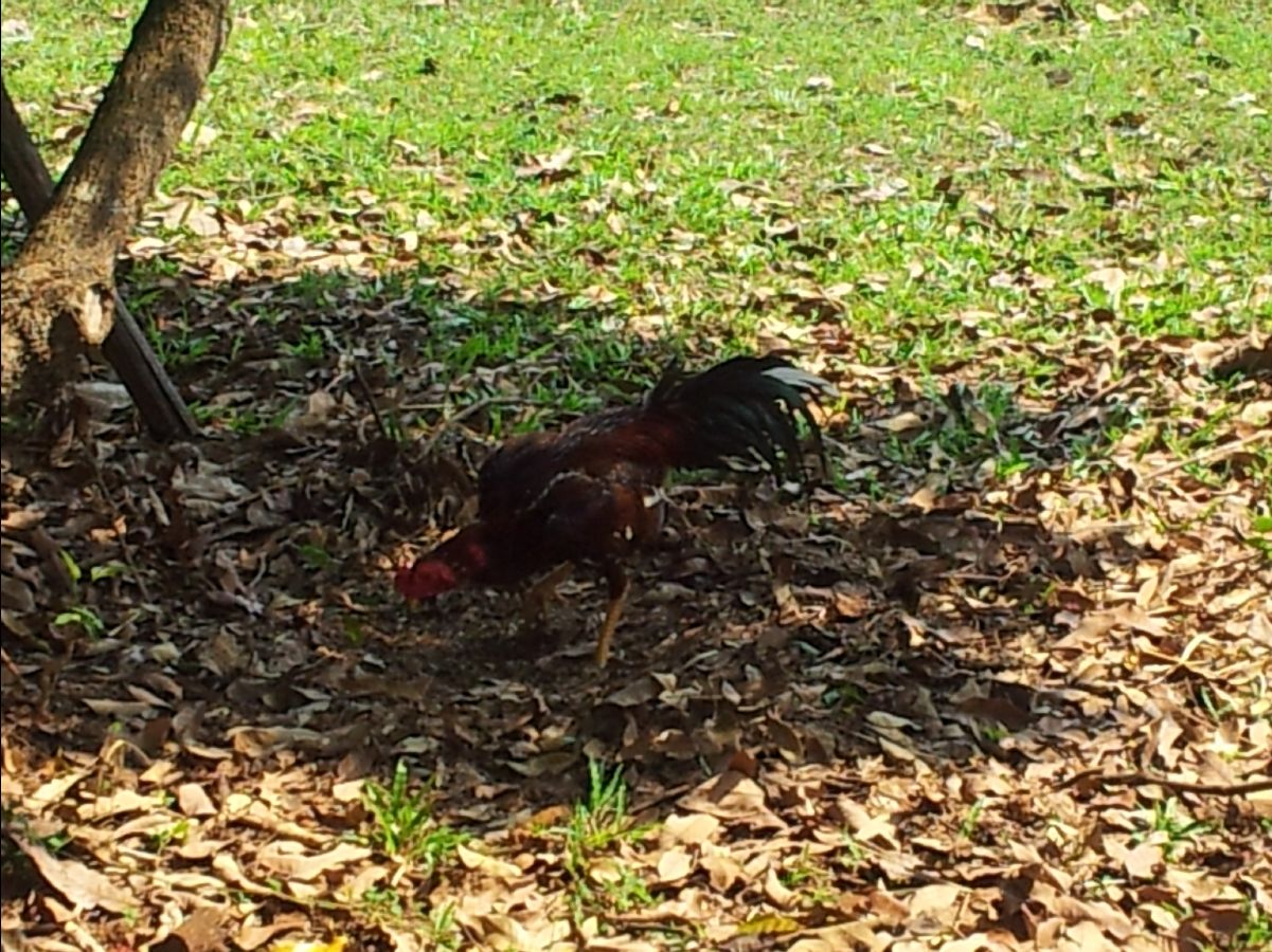 201302 Chiang Mai47